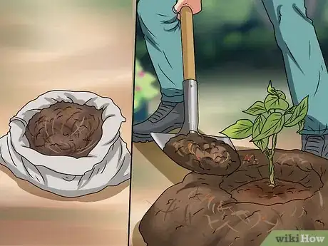 Image titled Plant Step 29