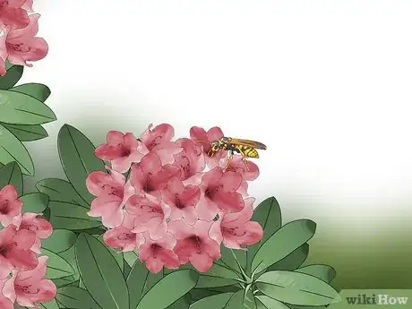 Image titled Get Rid of Ground Bees Step 11