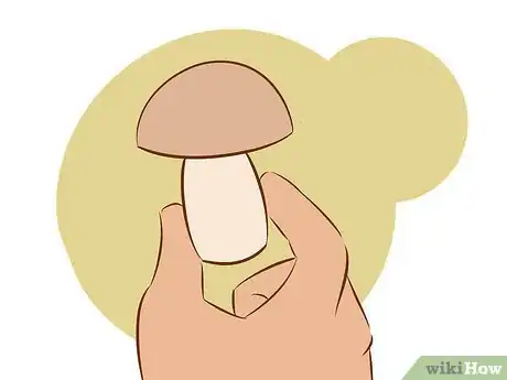 Image titled Grow Edible Mushrooms Step 13