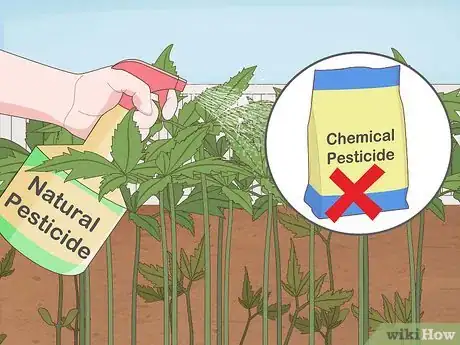 Image titled Garden when You Have a Dog Step 5