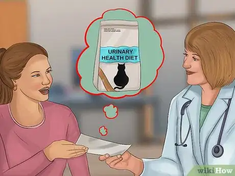 Image titled Treat Bacterial Cystitis in Cats Step 13