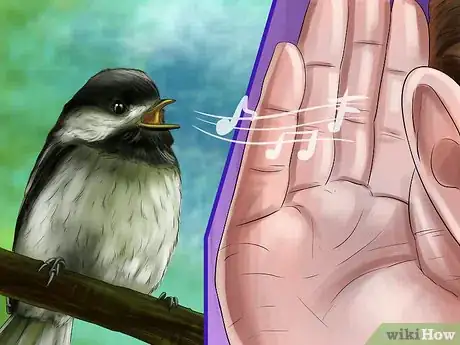 Image titled Recognize the Chickadee Step 5