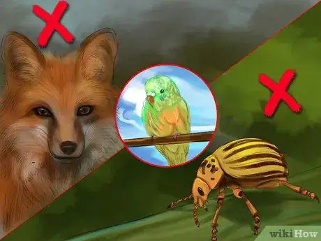 Image titled Prevent Infections in Parakeets Step 14