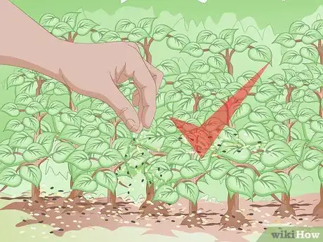 Image titled Dog Proof a Yard Step 4