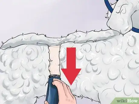 Image titled Do a Banded Dutch on a Poodle Step 7