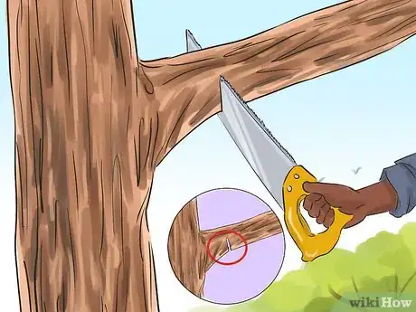 Image titled Prune a Redbud Tree Step 1