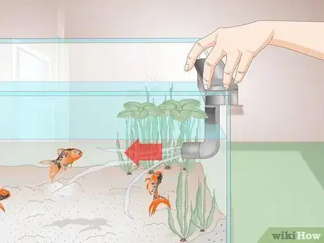 Image titled Cure Red Slime Algae in Marine Aquariums Step 10