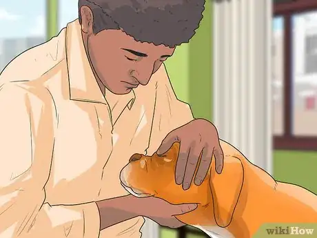 Image titled Treat Entropion in Boxers Step 6