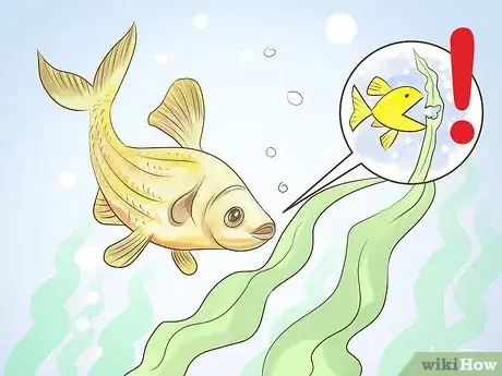 Image titled Pick Freshwater Plants Step 2