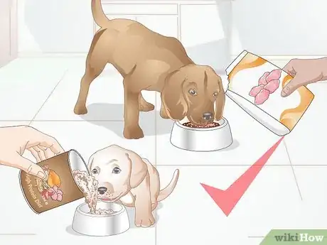 Image titled Buy Dog Food Step 13