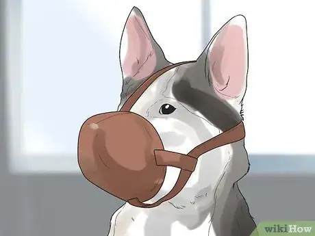 Image titled Socialize Your Dog Step 7