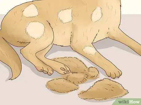 Image titled Recognize Signs of Anxiety in Dogs Step 17
