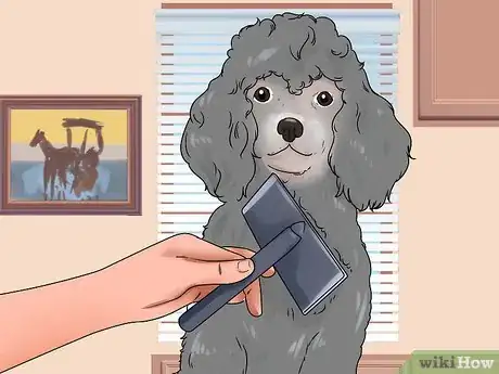 Image titled Groom a Longhair Dog Step 16