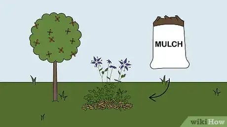 Image titled Plant Columbine Step 17