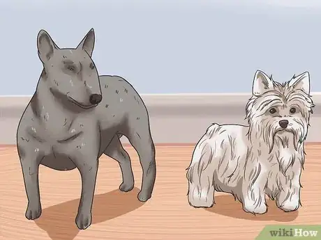 Image titled Calculate Dog Years Step 9