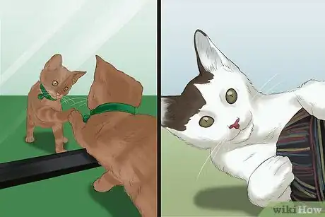 Image titled Photograph Animals Step 12