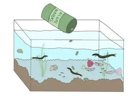 Image titled Types of bottom feeders09876549