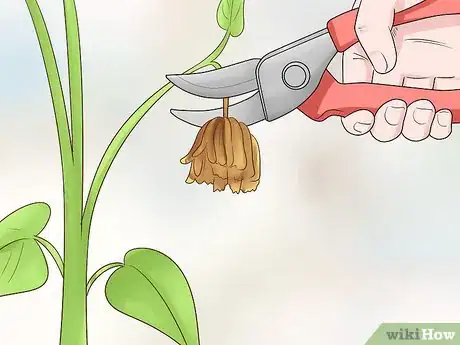 Image titled Plant Landscape Plants Step 24