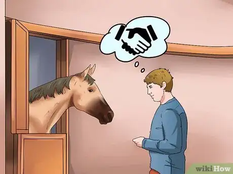 Image titled Get a Head Shy Horse To Trust You Step 15