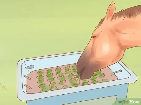 Image titled Keep a Horse from Cribbing Step 3