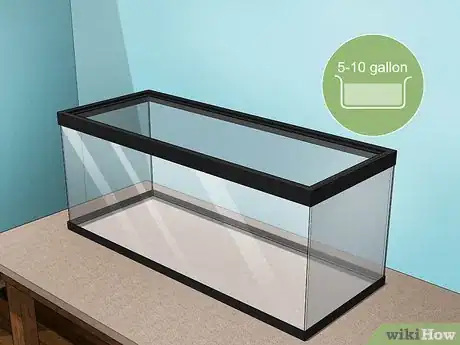 Image titled Care for a Chilean Rose Tarantula Step 1