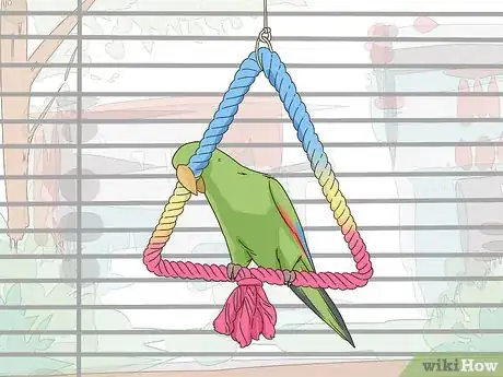 Image titled Set Up an Eclectus Habitat Step 4
