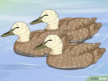 Image titled Set Duck Decoys Step 13