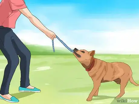 Image titled Have a Fun Day with Your Dog Step 10