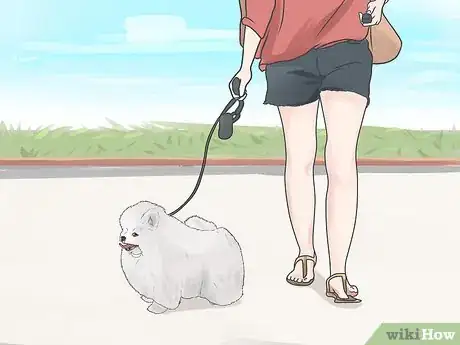 Image titled Control Arthritis Pain in Dogs Step 6