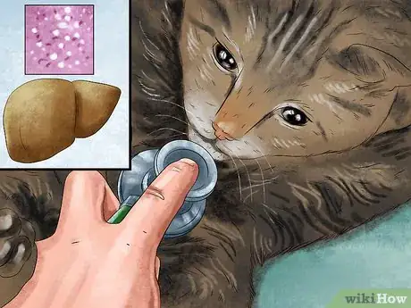 Image titled Feed a Fussy Cat Step 11