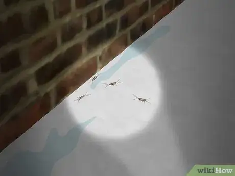 Image titled Get Rid of Silverfish Step 1