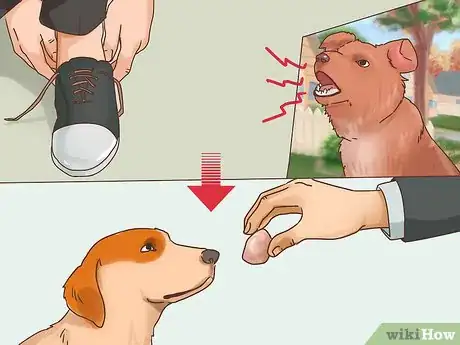 Image titled Know if Your Older Dog Suffers from Separation Anxiety Step 11