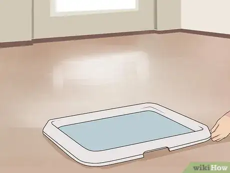 Image titled Have Fun with Your Dog Indoors Step 14