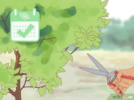 Image titled Plant Jackfruit Step 18