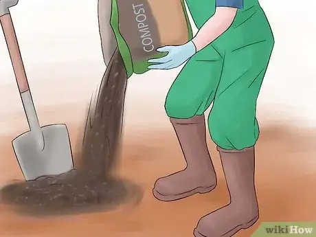 Image titled Grow Perennial Vegetables Step 9