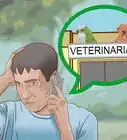 Protect Small Dogs from Birds of Prey