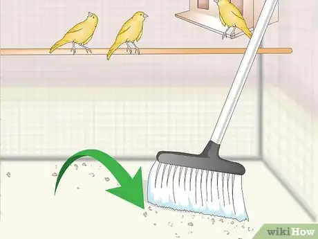 Image titled Clean and Maintain a Canary Habitat Step 11
