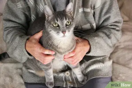 Image titled Involve a Pet in Christmas Step 2