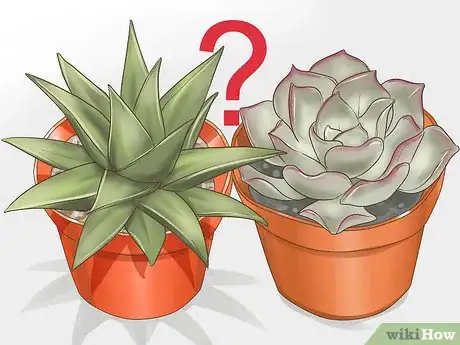 Image titled Grow a Miniature Succulent Garden Step 2