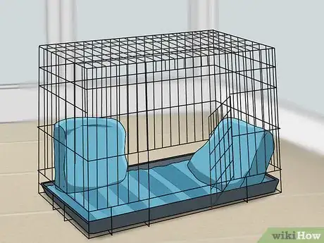 Image titled Crate Train Dachshunds Step 2