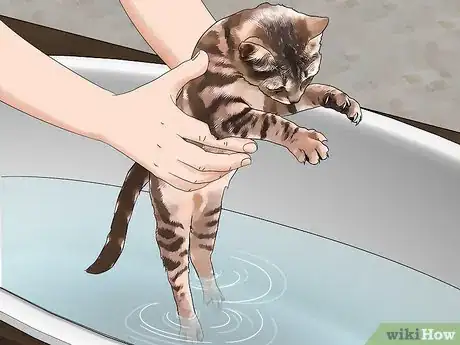 Image titled Fumigate for Fleas Step 10