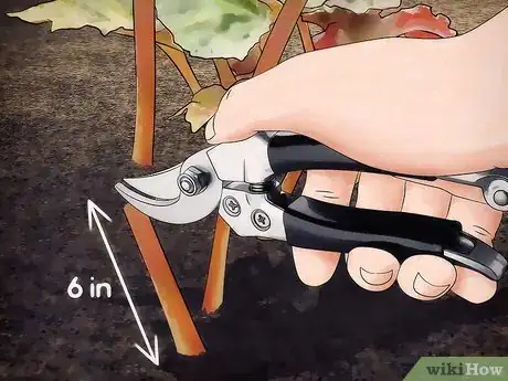 Image titled Overwinter Tropical Plants Step 14