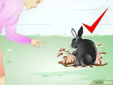 Image titled Keep Your Rabbit Slim Step 2