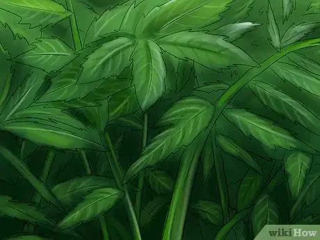 Image titled Check Your Cat's Nose Step 9