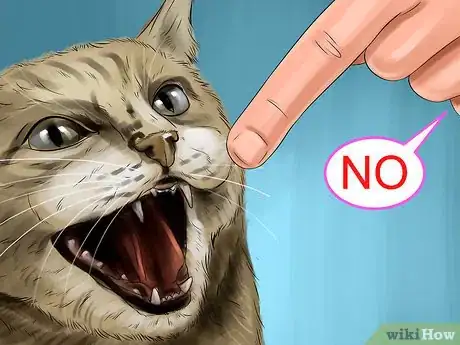 Image titled Train Your Cat with Positive Reinforcement Step 4