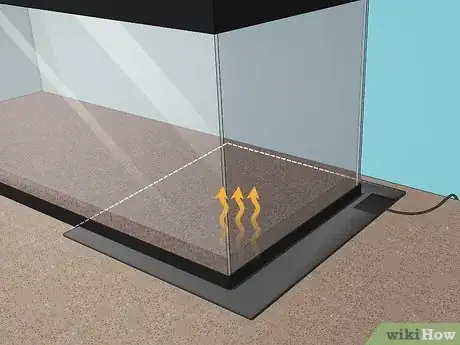 Image titled Care for a Chilean Rose Tarantula Step 6