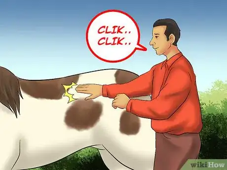 Image titled Load a Horse on a Trailer Step 13