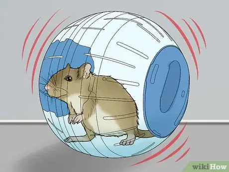 Image titled Choose a Gerbil Breed Step 5