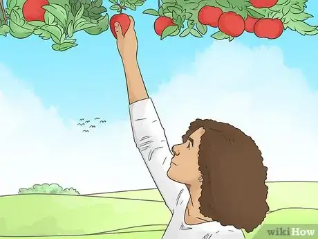 Image titled Celebrate the Fall Equinox Step 2