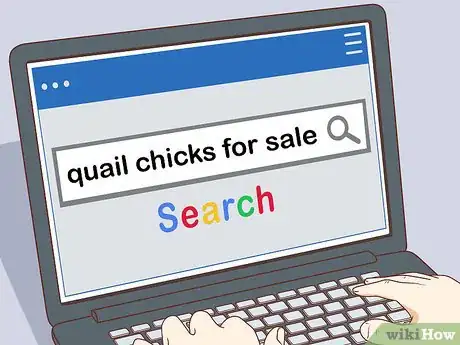 Image titled Buy Quail Chicks Step 8